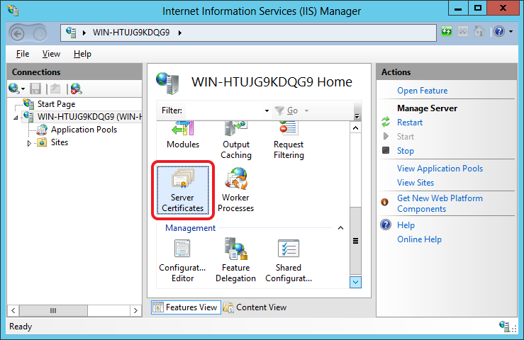 Select the server node in IIS Manager and double-click Server Certificates