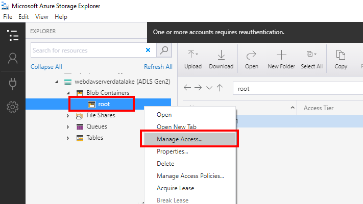 Select Azure Data Lake container and select Manage Access in context menu