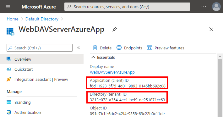 Copy the Application (client) ID and Directory (tenant) ID into appsettings.webdav.json.